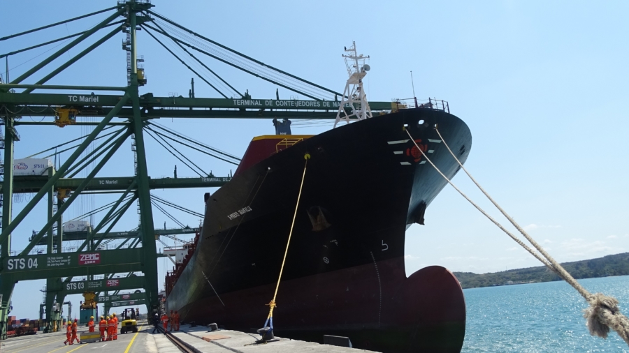 Actividad - Muelle (35)